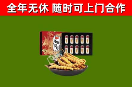 郴州回收冬虫夏草价格